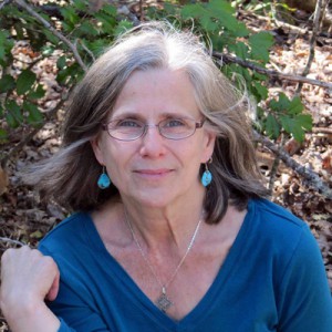 Anne Gillian, Peopleweaver Board of Directors